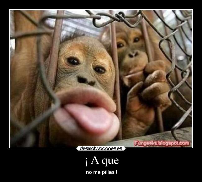 ¡ A que - no me pillas !