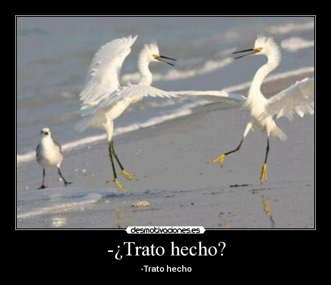 -¿Trato hecho? - -Trato hecho