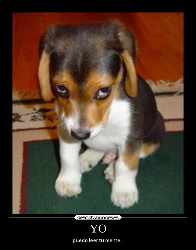 YO - puedo leer tu mente...