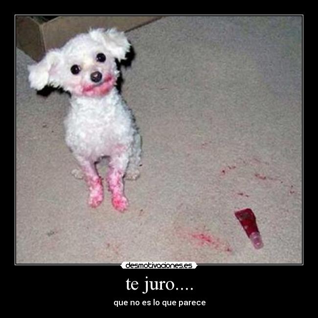 te juro.... -