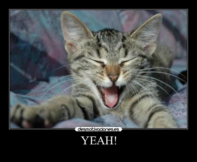 YEAH! - 