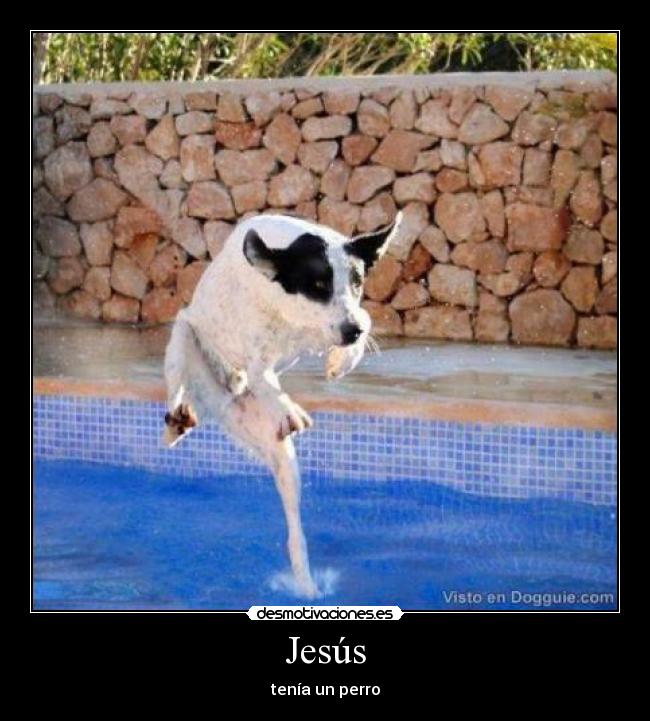 Jesús - tenía un perro