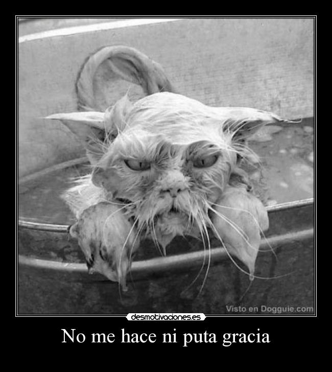 No me hace ni puta gracia - 