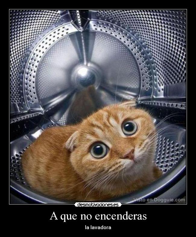 A que no encenderas - la lavadora