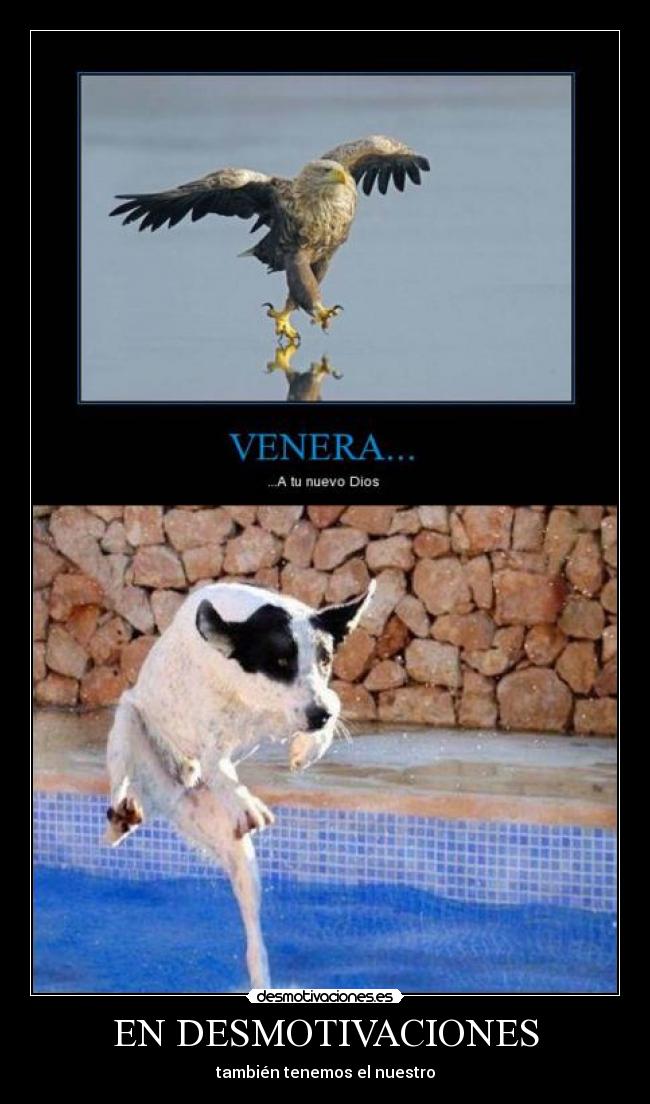 EN DESMOTIVACIONES - también tenemos el nuestro
