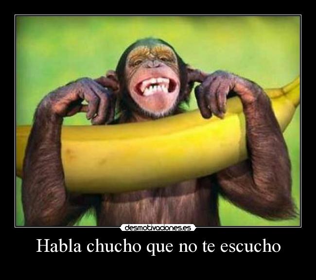 Habla chucho que no te escucho - 