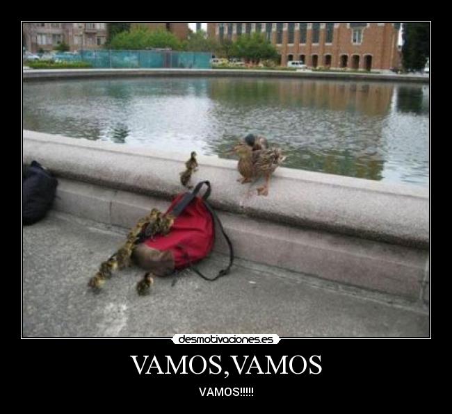 VAMOS,VAMOS -