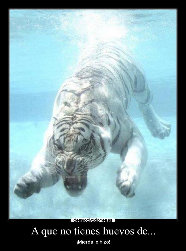 A que no tienes huevos de... - 