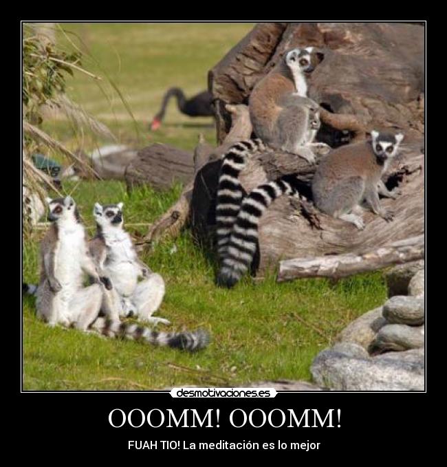 OOOMM! OOOMM! -