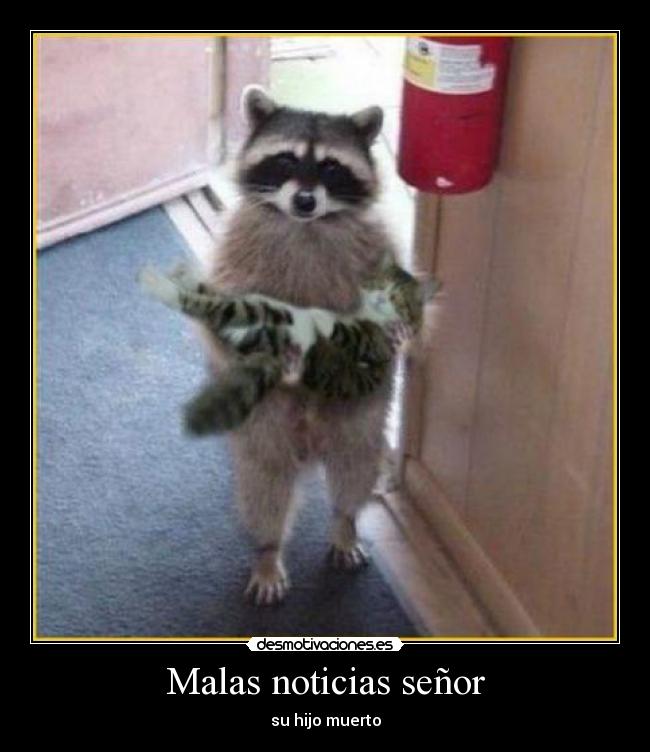 Malas noticias señor - su hijo muerto