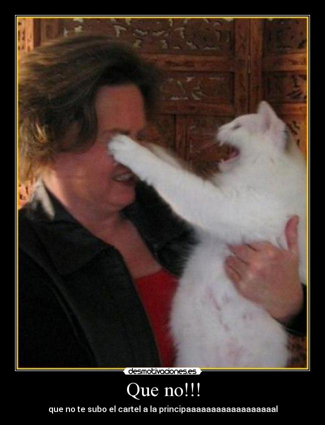 Que no!!! - que no te subo el cartel a la principaaaaaaaaaaaaaaaaaal