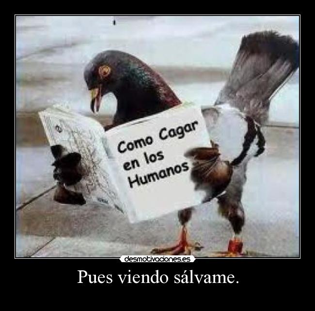 Pues viendo sálvame. - 