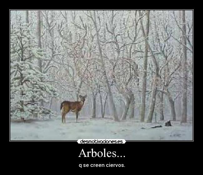 carteles garalince katxiporreta desmotivaciones