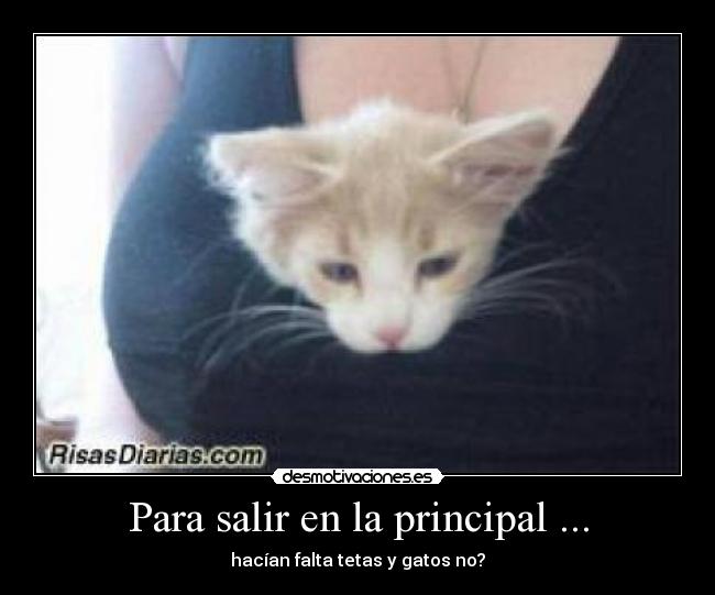 carteles futuronotario desmotivaciones