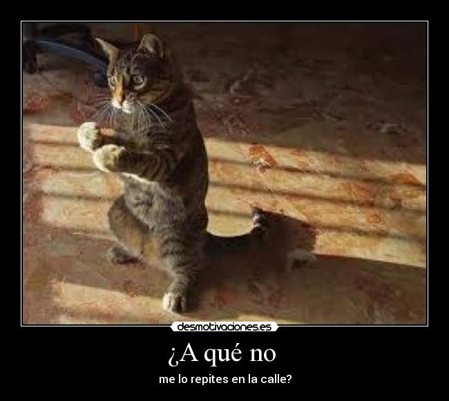 ¿A qué no - me lo repites en la calle?