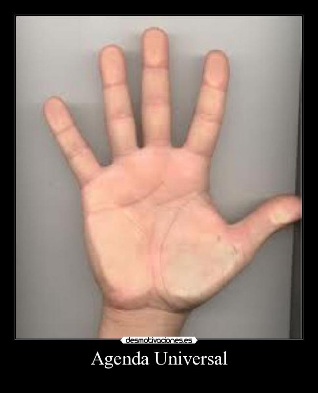 Agenda Universal - 