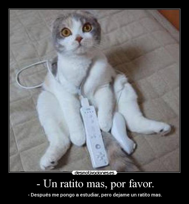 - Un ratito mas, por favor. -