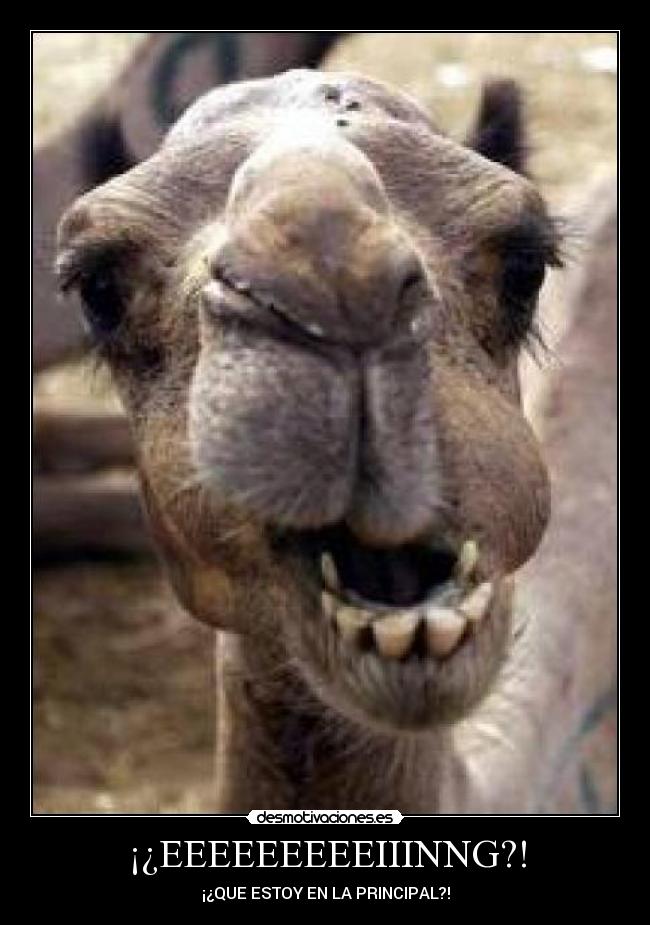 ¡¿EEEEEEEEEIIINNG?! - ¡¿QUE ESTOY EN LA PRINCIPAL?!