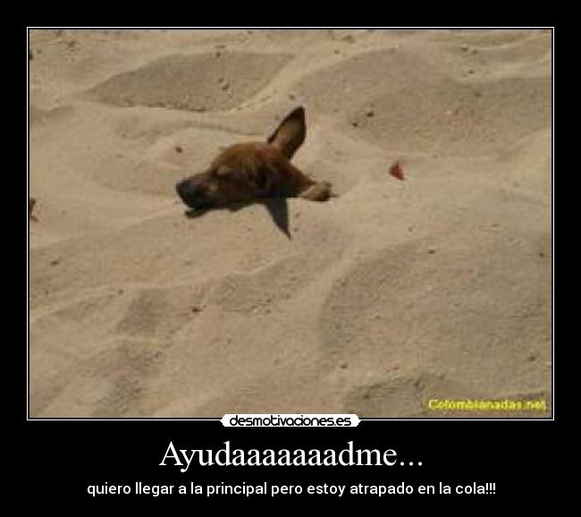 Ayudaaaaaaadme... - 