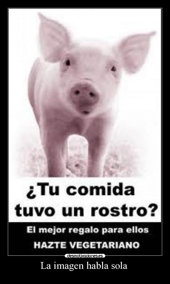 La imagen habla sola  - 