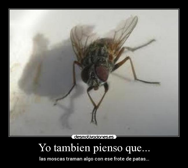 Yo tambien pienso que... -