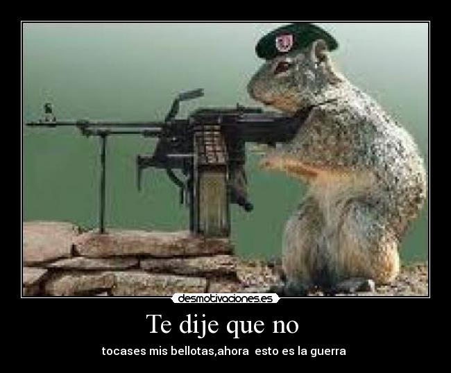 carteles ardillas desmotivaciones