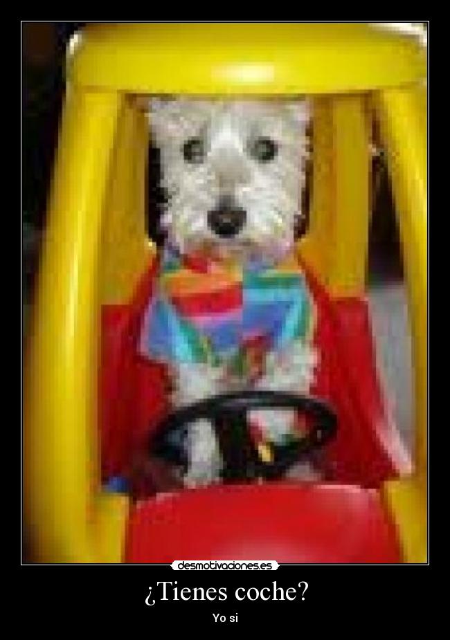 ¿Tienes coche? -