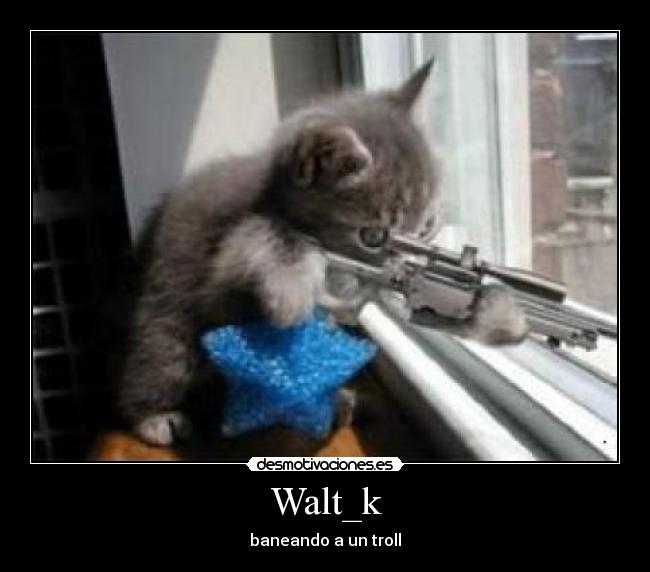 Walt_k -