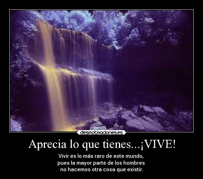 carteles vida desmotivaciones