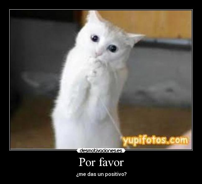 Por favor - 