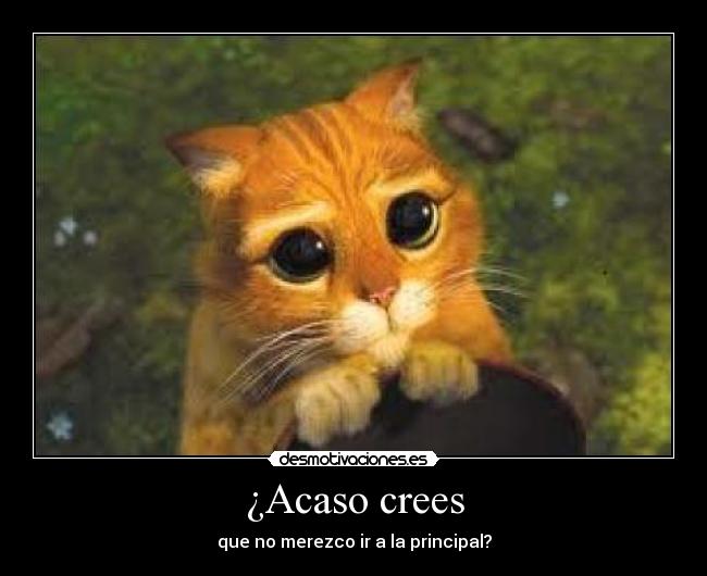 ¿Acaso crees -