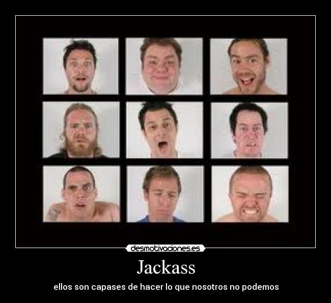 Jackass -