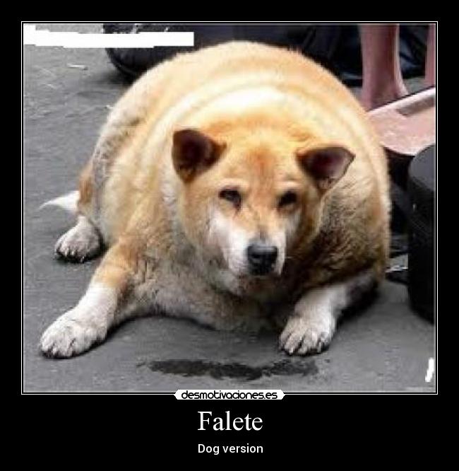 Falete - 