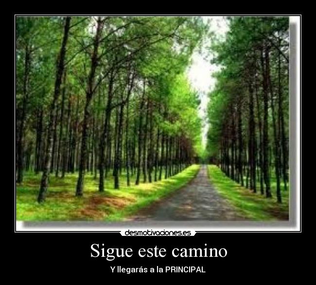 Sigue este camino - Y llegarás a la PRINCIPAL