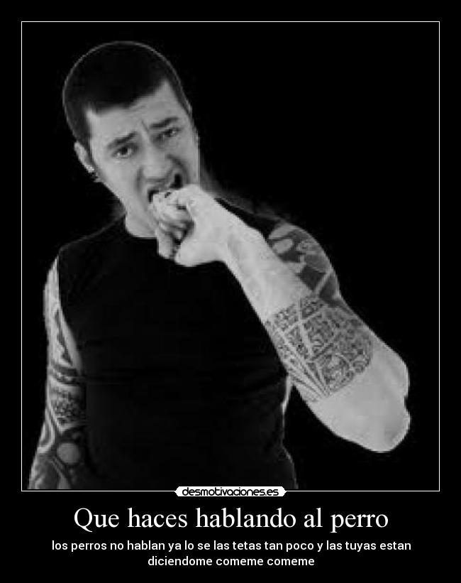 Que haces hablando al perro -