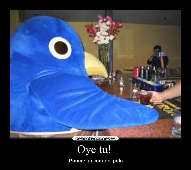 Oye tu!  - 