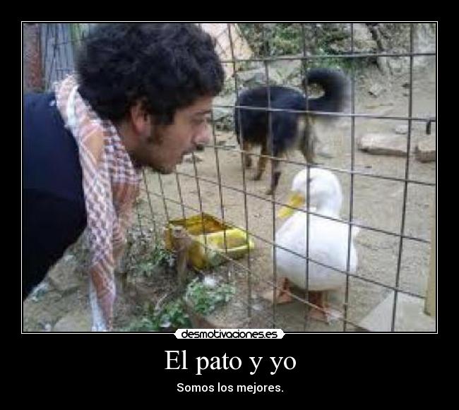 El pato y yo - Somos los mejores.