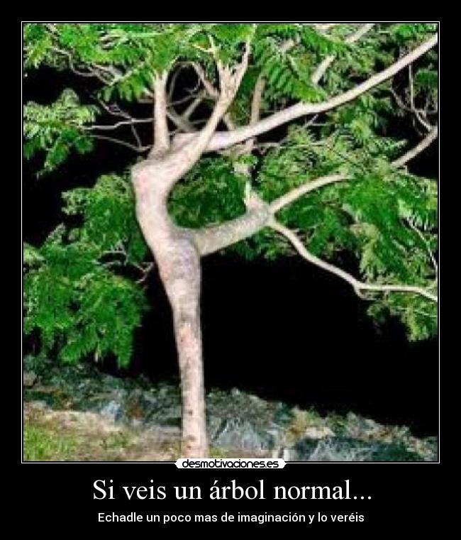 carteles jclik desmotivaciones