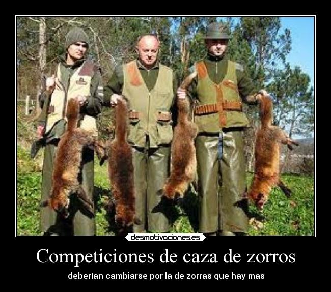 Competiciones de caza de zorros - 