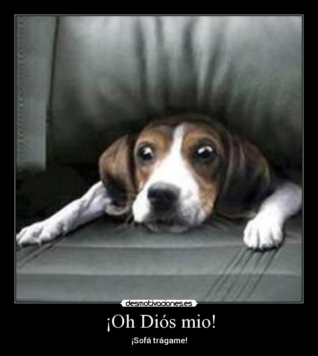 ¡Oh Diós mio! - ¡Sofá trágame!