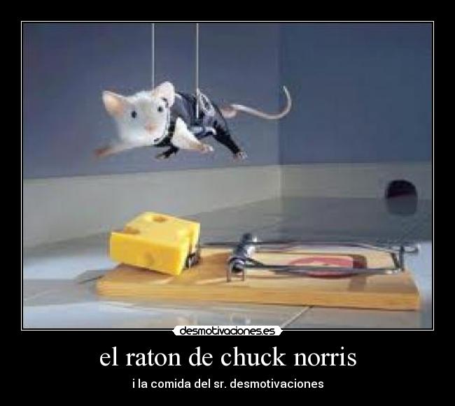 el raton de chuck norris -