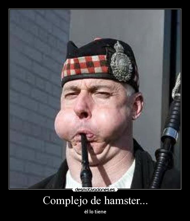 Complejo de hamster... - 