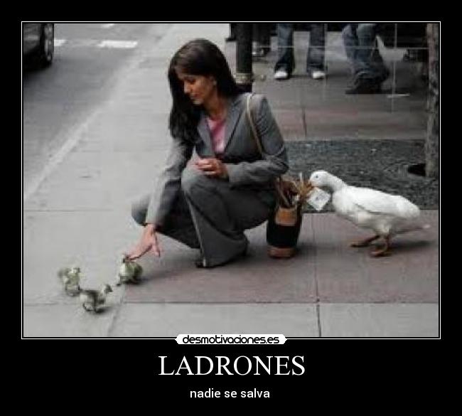 LADRONES - nadie se salva