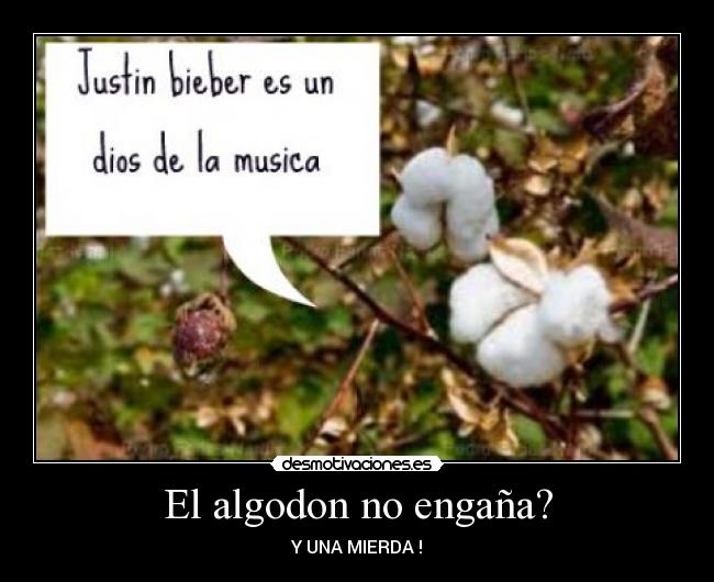 carteles justin bieber muere desmotivaciones