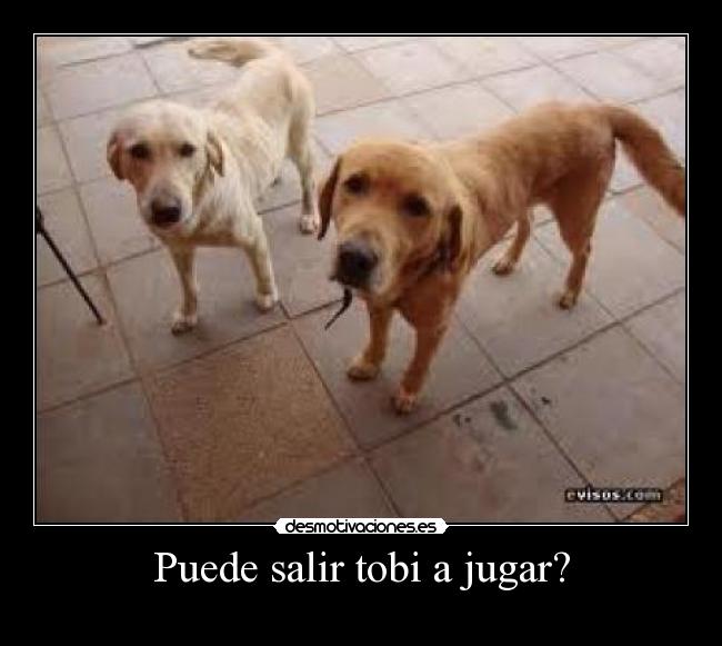 Puede salir tobi a jugar? -