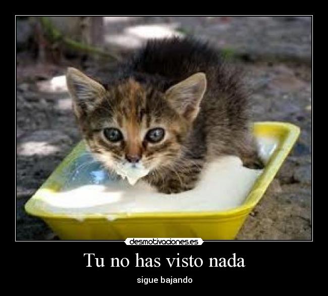 Tu no has visto nada - 