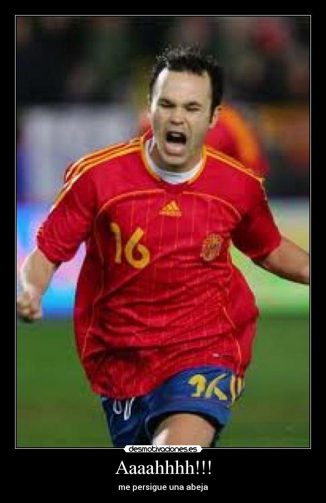 Aaaahhhh!!! - me persigue una abeja