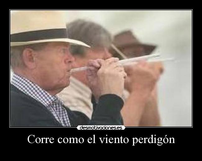 carteles dapamu6 desmotivaciones