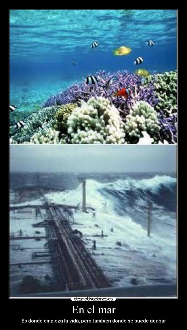 En el mar -