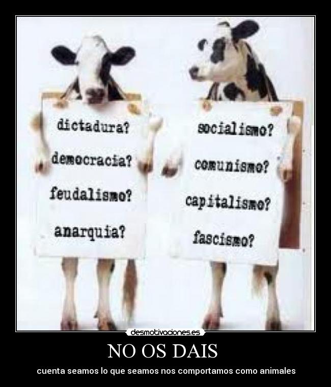 NO OS DAIS  - cuenta seamos lo que seamos nos comportamos como animales